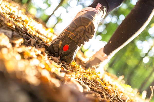 Vandring i detalj — Stockfoto