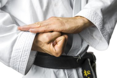 Karate concept clipart