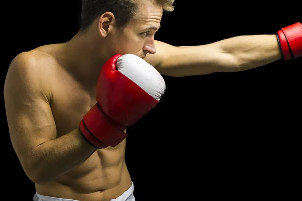 Soco boxer — Fotografia de Stock