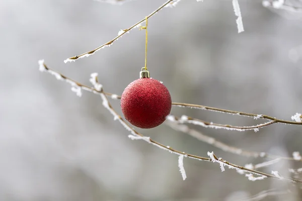 Ornamento rosso di Natale — Foto Stock