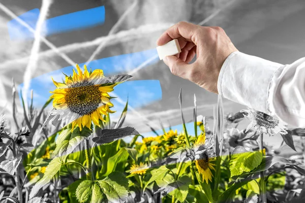 Hombre conservando la naturaleza — Foto de Stock