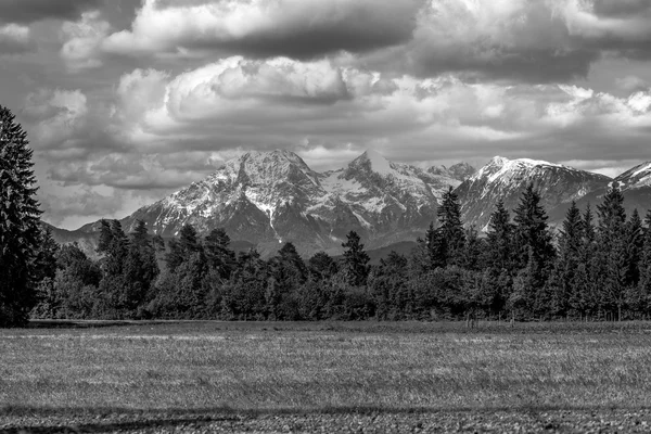 Imagen en escala de grises de las montañas eslovenas — Foto de Stock