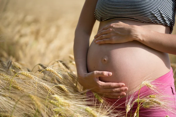 Schwangere steht in einem Weizenfeld — Stockfoto