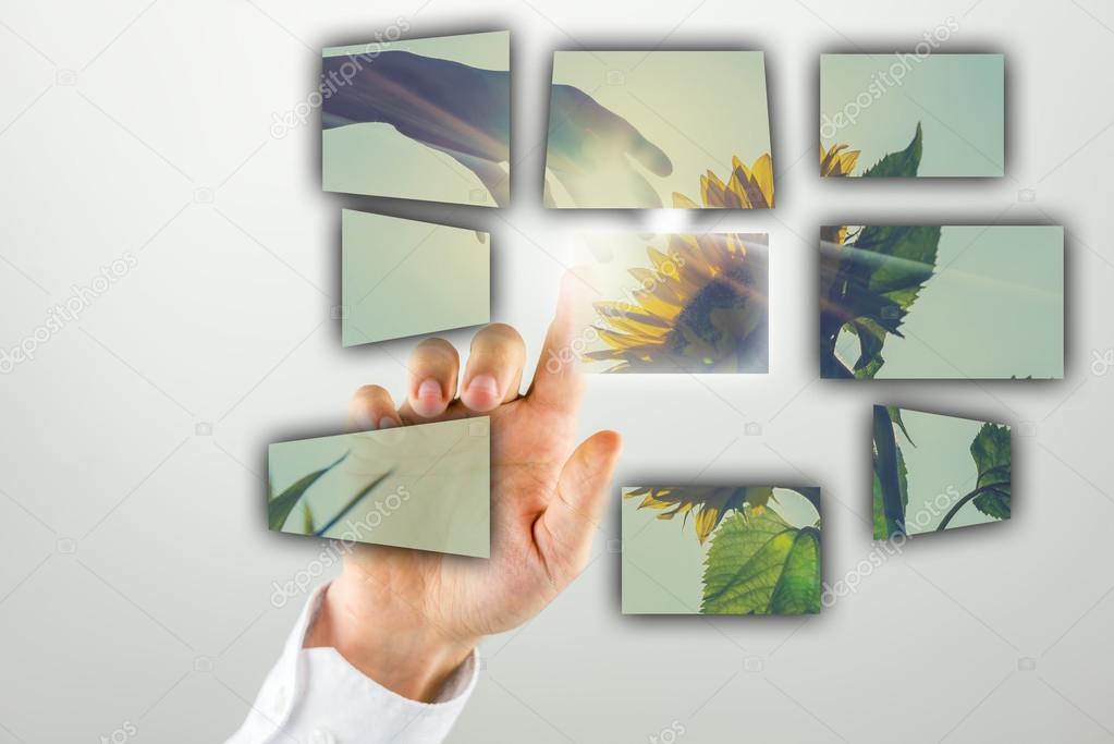 Man doing a presentation with a sunflower image