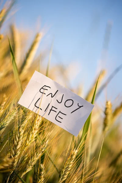 Enjoy life — Stock Photo, Image