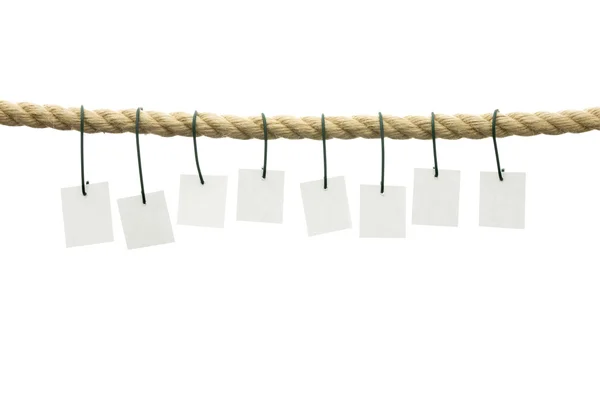 Eight blank cards hanging off a rope — Stock Photo, Image