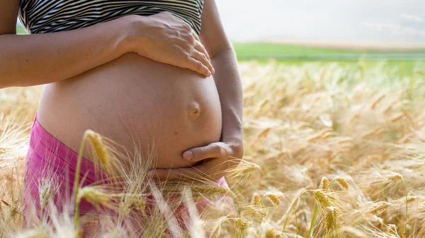 Schwangere in einem Weizenfeld — Stockfoto