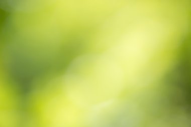 Green background blur clipart