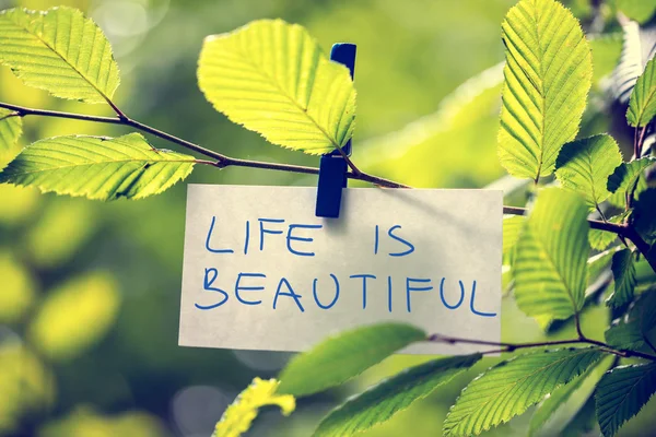 La vida es hermosa — Foto de Stock