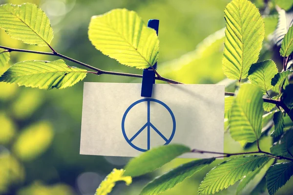 Barış kavramı — Stok fotoğraf