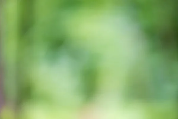 Blurred fresh green nature background — Stock Photo, Image