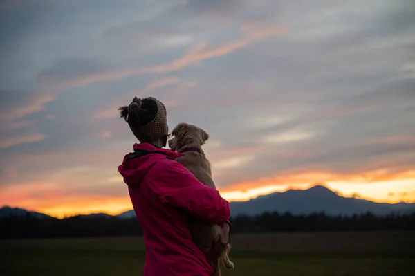 Jovem Mulher Casaco Rosa Segurando Seu Cão Bonito Seu Colo — Fotografia de Stock