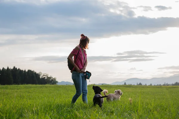 若いです女性立ってで美しい緑の牧草地トレーニング彼女の二匹の犬 — ストック写真