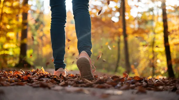 Низкий Угол Обзора Женских Ног Сникерах Идущих Дороге Покрытой Осенними — стоковое фото
