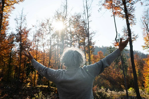 一位老人站在美丽的秋天里 两臂伸展在灿烂的阳光下 从身后眺望 — 图库照片