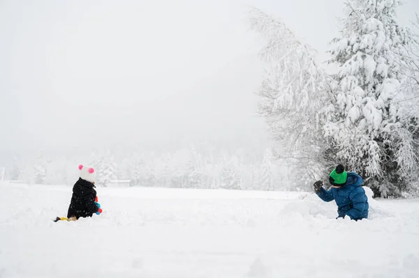 Zwei Kinder Spielen Schnee Der Wunderschönen Weißen Verschneiten Winternatur — Stockfoto