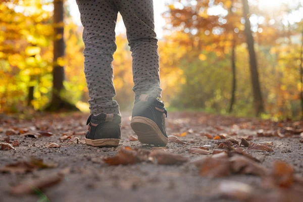一个小孩的小腿在秋天的森林小径上行走 树叶里闪烁着太阳 这是一种低角度的景象 — 图库照片