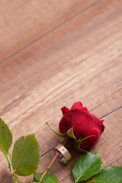 Vue Dessus Une Bague Fiançailles Mariage Autour Une Tige Belle — Photo