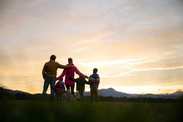 Vista Desde Atrás Familia Cinco Perro Parado Afuera Atardecer Con — Foto de Stock