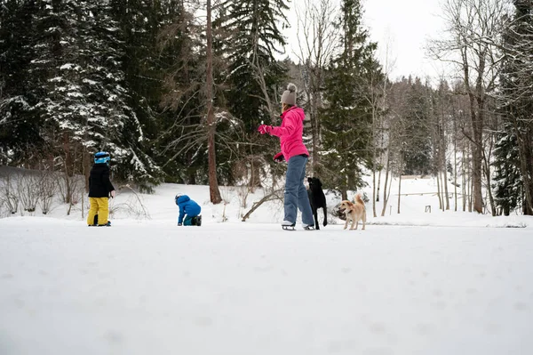 Junge Mutter Und Ihre Kinder Schlittschuhlaufen Auf Einem Zugefrorenen See — Stockfoto