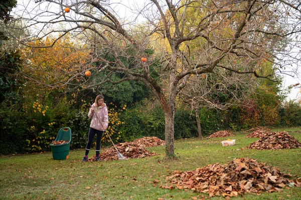 美しい晴れた秋の日に裏庭で秋の葉をランク付け若い女性 — ストック写真