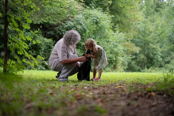 Bellissimo Momento Famiglia Con Bambina Che Bacia Piccolo Cucciolo Labrador — Foto Stock