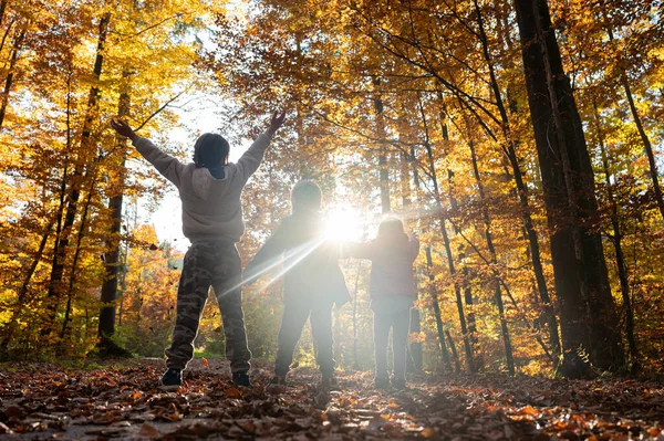 三个孩子 兄弟姐妹 高高地站在美丽的秋天的森林里 在阳光的照耀下 从后面观看 — 图库照片
