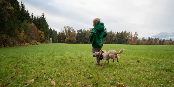 幼児男の子ランアウトで緑の牧草地とともに彼の犬 — ストック写真