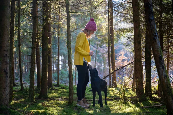 Mladá Žena Jasně Žlutém Svetru Stojící Krásném Lese Výuka Její — Stock fotografie