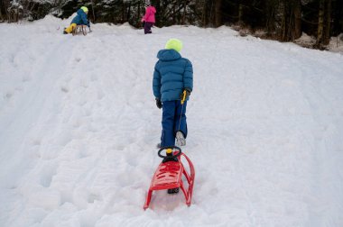 Çocuklar karda oynuyor ve tepeden kayıyor..