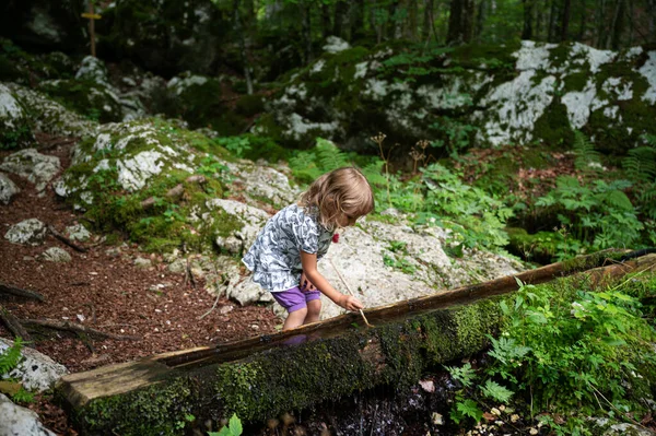 Toddler Girl Playing Water Middle Beautiful Green Summer Forest — Stok Foto
