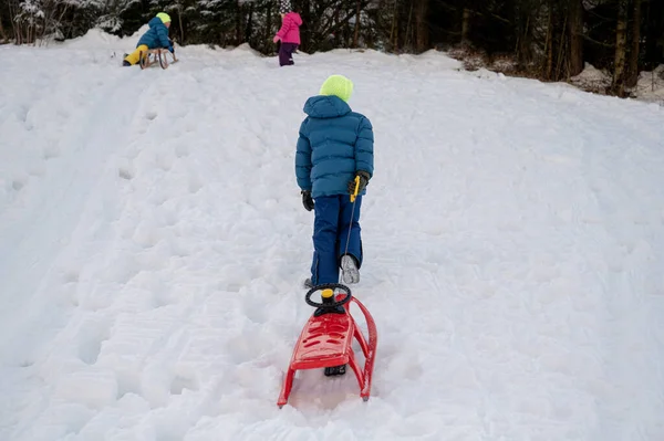 孩子们在雪地里玩滑行下山 — 图库照片