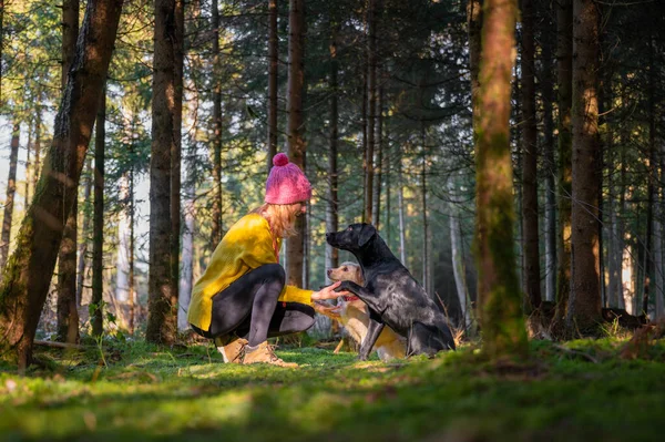 Bela Imagem Amizade Entre Humanos Cães Jovem Mulher Camisola Amarela — Fotografia de Stock