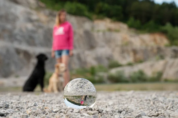 Citra Kabur Dari Seorang Pelatih Anjing Betina Muda Dengan Dua — Stok Foto