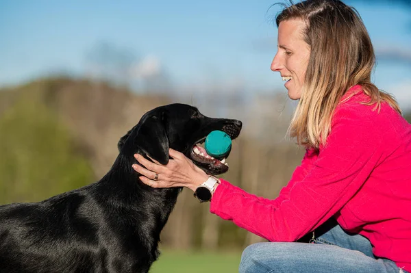 Schöne Beziehung Zwischen Einer Frau Und Ihrem Hund Besitzerin Lobt — Stockfoto