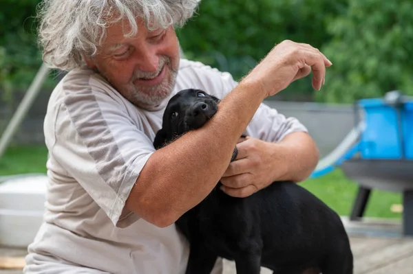 Senior Man Playing Cute Black Labrador Retriever Puppy — Stock fotografie