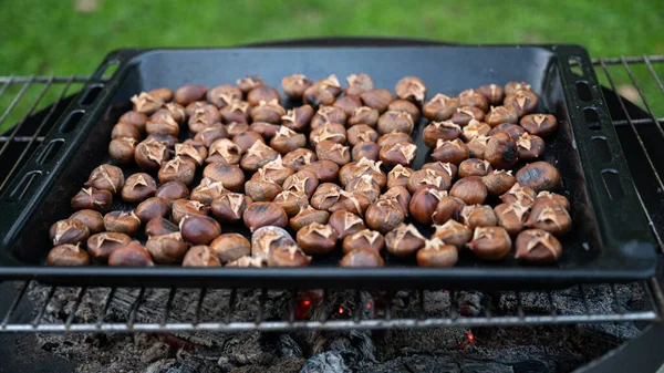 Châtaignes Rôties Sur Feu Barbecue Domestique Extérieur Dans Cour — Photo