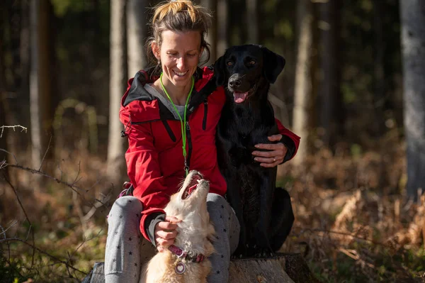 Young Woman Sitting Tree Stump Forest Her Two Dogs Her — Stock fotografie