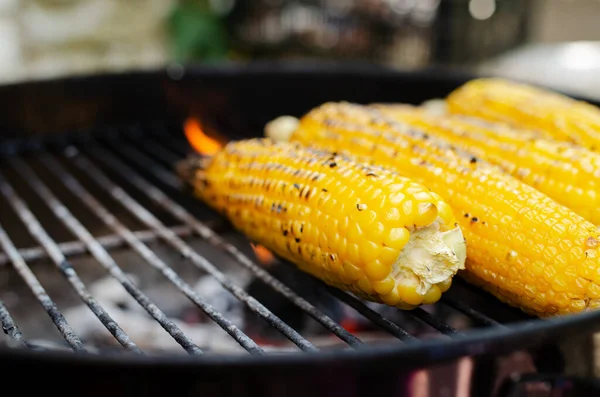 Four Delicious Sweet Corns Cob Roasting Domestic Grill Backyard — Stockfoto