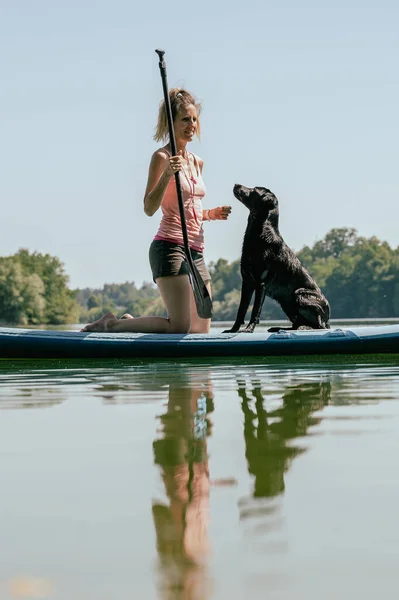 Young Female Dog Owner Her Black Labrador Retriever Sup Board — ストック写真