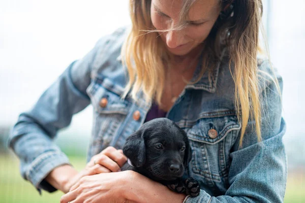 Adorable Little Black Labrador Retriever Puppy Cuddling Her New Owners — Stock Photo, Image