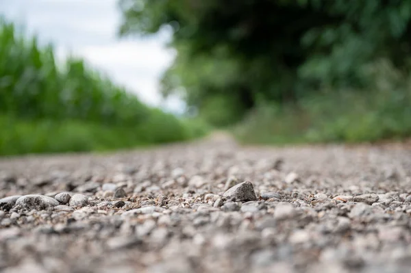 Low Angle View Gravel Country Road Running Green Fields Focus — 图库照片