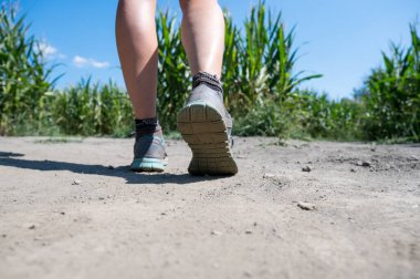Low angle view of female legs standing on the crossroads in the middle of cornfield.