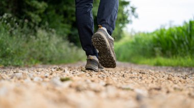 Low angle view of male legs with hiking shoes walking on a gravel country road alongisde green cornfield growing in the summer.
