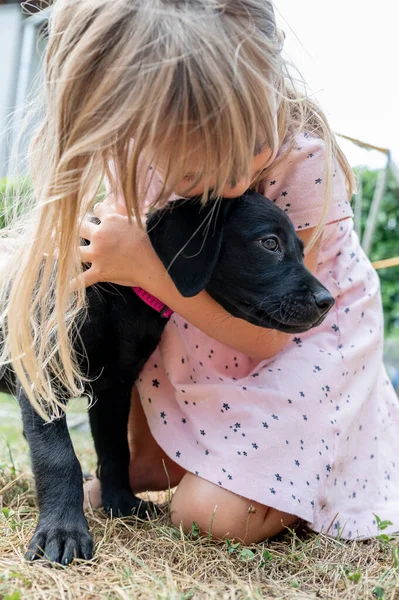 Bond between a puppy and child - toddler girl hugging and kissing a cute balck labrador retriever pup.