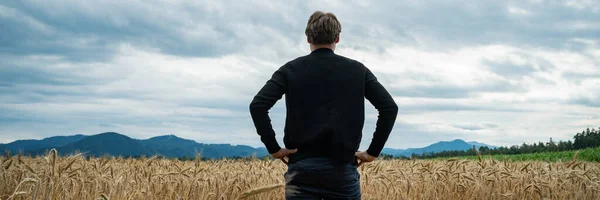 Vista Dietro Contadino Piedi Sul Bordo Bellissimo Campo Grano Dorato — Foto Stock