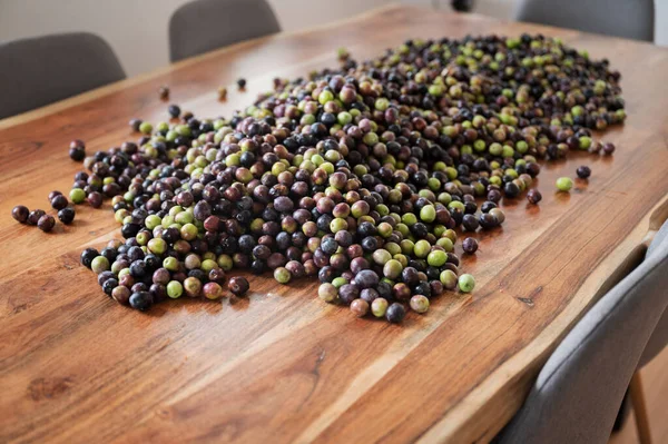 Pile Olives Vertes Noires Fraîchement Cueillies Placées Sur Une Table — Photo