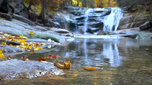 小瀑布 还有树上的叶子 秋天森林里的路秋天的风景 — 图库照片