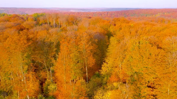 Weißer Himmel Frühling Atemberaubende Luftaufnahme Der Hügel Mit Bunten Roten Stockbild