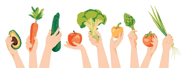 果物や野菜を持つさまざまな人間の手 コンセプト収穫 ベジタリアンフラットベクトルイラスト — ストックベクタ